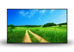 Moniteur professionnel - PROSCREEN 32" - Digital Play